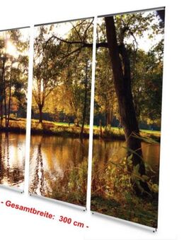 Bestattungsbedarf: L-Banner Display-Set "Stadtparkteich im Herbst - 300 x 200 cm - hochwertige Dekoration für Bestattung, Trauerhalle, Bestatter - Wilhelmshaven Zentrum