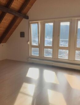 1,5 Zimmerwohnung in sonniger Aussichtslage von Schramberg-Tal - Schramberg