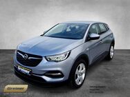 Opel Grandland, 1.2 Edition ||LRHZ||, Jahr 2020 - Deggendorf