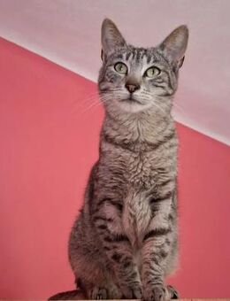 TLO (The Little One) sucht ihre Familie - Unterföhring