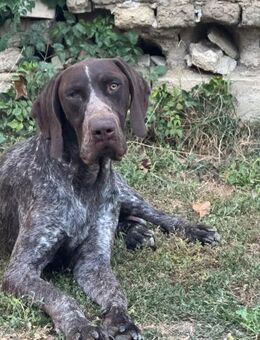 Ben sucht besondere Menschen - Müglitztal