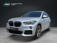 BMW X1, , Jahr 2018 - Ihringen