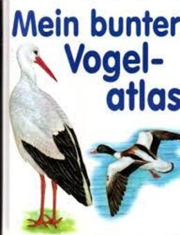 2 Vögel Bücher - Kettig