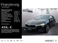 Skoda Octavia, 1.5 TSI Combi Ambition, Jahr 2024 - Bad Nauheim