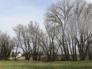 Ingolstadt- Unsernherrn- An den Lohen der Sandrach; gepflegtes, großes Süd- West- Grundstück mit Altbestand - Ingolstadt