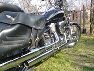 Yamaha 125 Drag Star XVS zu verkaufen - Kreischa