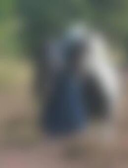 Mar*** - Frankenberg (Eder)