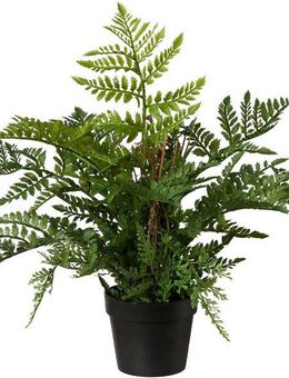 Kunstpflanze Farn, Creativ green, Höhe 45 cm, im Kunststofftopf