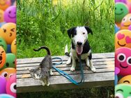 Ein Hund weiß nicht wie man Liebe schreibt aber er weiß wie man sie täglich zeigt! - Groß Wüstenfelde