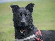 Noel wer verliebt sich in ihn? - Puchheim