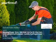 Baumpfleger bzw. Gärtner (m/w/d) (Garten- und Landschaftsbauer, Landschaftsgärtner o. ä.) - Mörfelden-Walldorf