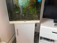 Aquarium zu verkaufe 120L noch komplett mit den Fischen und Inhalt - Frechen