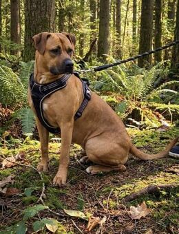 Pipa ❤️ - Hamburg