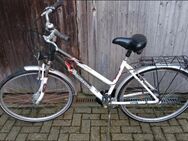 Fahrrad Pegasus Avanti CT Series 28 Zoll Alu - Hückeswagen (Schloss-Stadt)