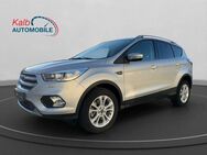 Ford Kuga 2.0 TDI TITANIUM+NAVI+BI-XENON+CAM+PDC+SHZ - Schnaittach