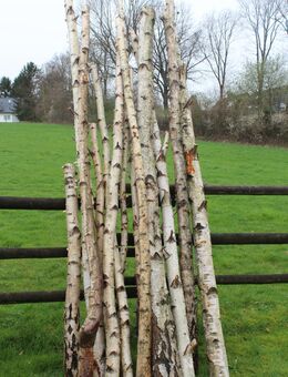 Birkenstämme zum Basteln, Heimwerken, zur Gartengestaltung - Neuenrade