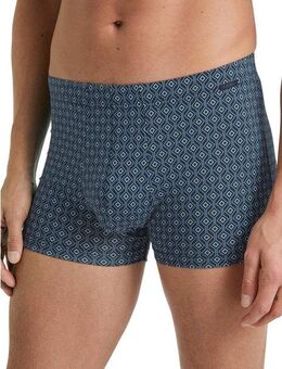 CALIDA Boxer Grafic Cotton mit angenehmem Schnitt