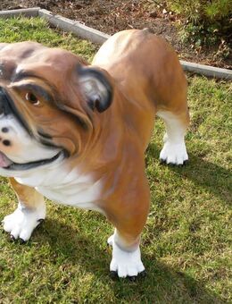 Englische Bulldogge als Dekofigur Gartendeko von dekofigurentraumxxl.de - Hergisdorf