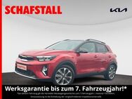 Kia Stonic Platinum Edition 1.0 T-GDI Automatik wenig KM Navi Tempomat Kamera - Bergheim (Nordrhein-Westfalen)