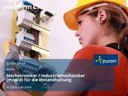 Mechatroniker / Industriemechaniker (m/w/d) für die Instandhaltung - Obermarchtal
