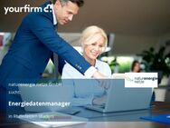 Energiedatenmanager - Rheinfelden (Baden)