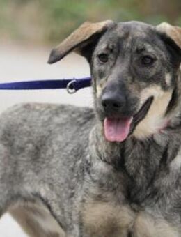 Ist die kleine Etienne nicht süß? - Karben