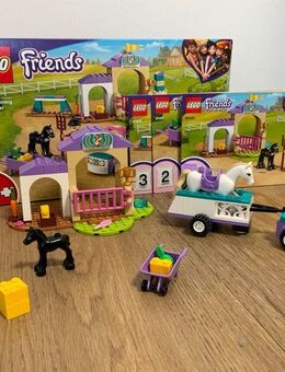 Lego Friends 41441 Trainingskoppel und Pferdeanhängern - Berlin