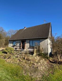Einfamilienhaus auf großem Grundstück in Randlage - Seedorf (Landkreis Segeberg)