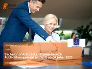 Bachelor of Arts (B.A.) - Studienbereich Public Management (m/w/d) ab Oktober 2025 - Ellwangen (Jagst)