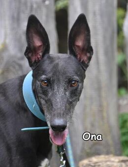ONA - Donzdorf