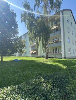 4-Zi-Etagenwhg. mit Balkon im Herzen der Sanderau zum Kauf - Würzburg