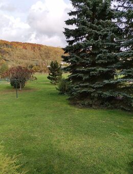 Gepflegte 4 Zimmer Wohnung in guter Lage , mit Garage - Kaltennordheim