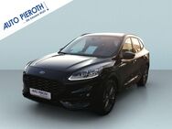 Ford Kuga, 2.5 Duratec FHEV ST-LINE X, Jahr 2024 - Bad Kreuznach