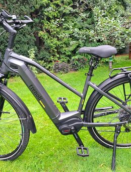 E-Trekking Bike Trenoli Tanaro Sportivo Bosch Power Tube 625 Wh motor Bosch Perfomance Line 65 NM - Lorsch (Karolingerstadt)