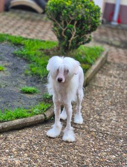 Plätzchen fürs Leben - Oerlenbach