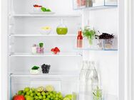 AEG Einbaukühlschrank Serie 5000 TSK5O88EF, 87,3 cm hoch, 55,6 cm breit, 118 L, variable Glasablagen,Türalam, LED-Beleuchtung, Touch, Festtür