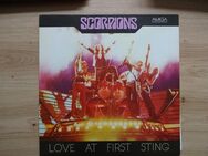 Verkaufe Schallplatte von den Scorpions, Love at first sting - Suhl