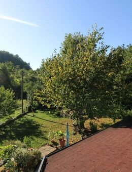 Urlaub Zuhause! Einzigartige 3- Zimmer Wohnung umgeben von der Natur in Bad Boll-Eckwälden - Bad Boll