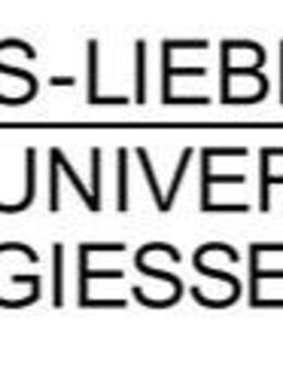 Unified Communications-Spezialist/in / IT-Administrator/in Telekommunikation (m/w/d) - Gießen