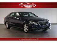 Mercedes-Benz E 350 Elegance Pano-Luft-Navi-H&K-LED-STDHZ-SHZ- - Bebra