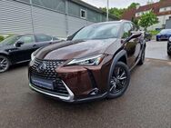 Lexus UX 250h Executive Line HUD/Navi/TWW/Leder - Nürtingen