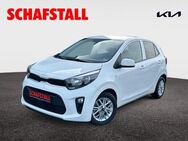 Kia Picanto Dream Team 1.0 NAVI Apple Android LenkradHZG Rückfahrkam - Bergheim (Nordrhein-Westfalen)