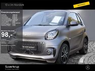 smart EQ fortwo cabrio, WINTER, Jahr 2020 - Eutin