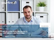 SALES CONTROLLER (M/W/D) - VERTRIEBSCONTROLLING - Oldenburg