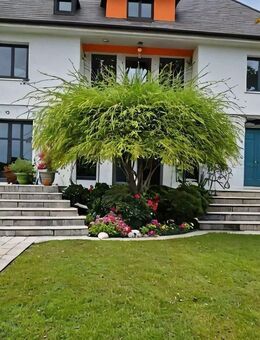 4 Zimmer Eigentumswohnung in Dingolfing - Dingolfing