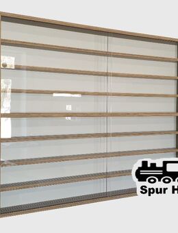 !!!Neu!!! Sammlervitrine für Spur H0 !!!Neu!!! - Hagelstadt