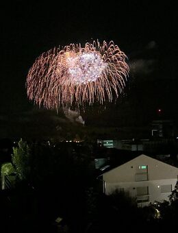 Feuerwerk vom Profi für Hochzeiten Feiern - Weil (Schönbuch)