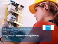 Elektroniker - Instandhaltung (m/w/d) - Spremberg