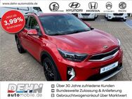 Kia Stonic MH 1.0 T-GDI Platinum Edition Navi GRA SHZ LRH - Brandenburg (Havel)