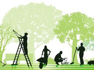 Gartenarbeit Aller Art - Heckenschnitt- Rasenmähen - Gärtner - Baumschnitt - Baumpflege - Baumfällen - Baumfallung - Grünschnitt, Baumschnitt, - Düsseldorf